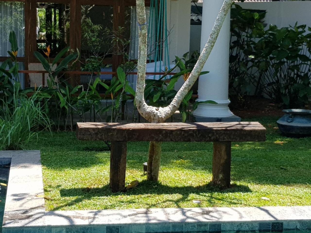 Bilin Tree House Otel Galle Dış mekan fotoğraf