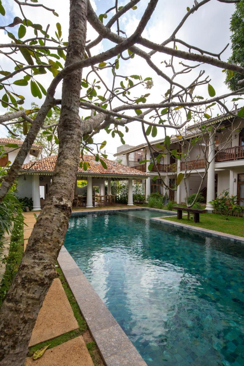 Bilin Tree House Otel Galle Dış mekan fotoğraf