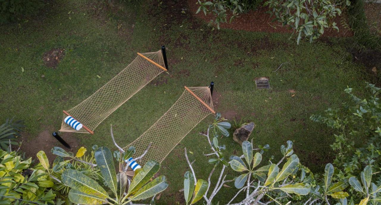 Bilin Tree House Otel Galle Dış mekan fotoğraf